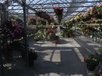 greenhouse 2012 011